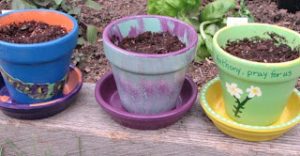 st anthony basil pots